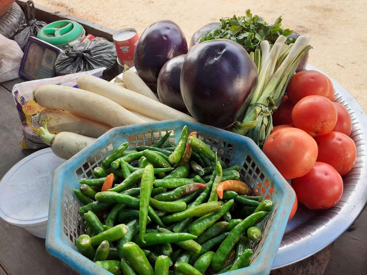 Verduras solanáceas — tomate, pimiento y berenjena